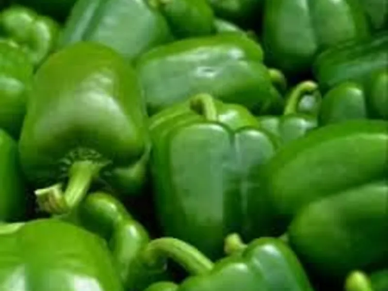 Photo : Poivron